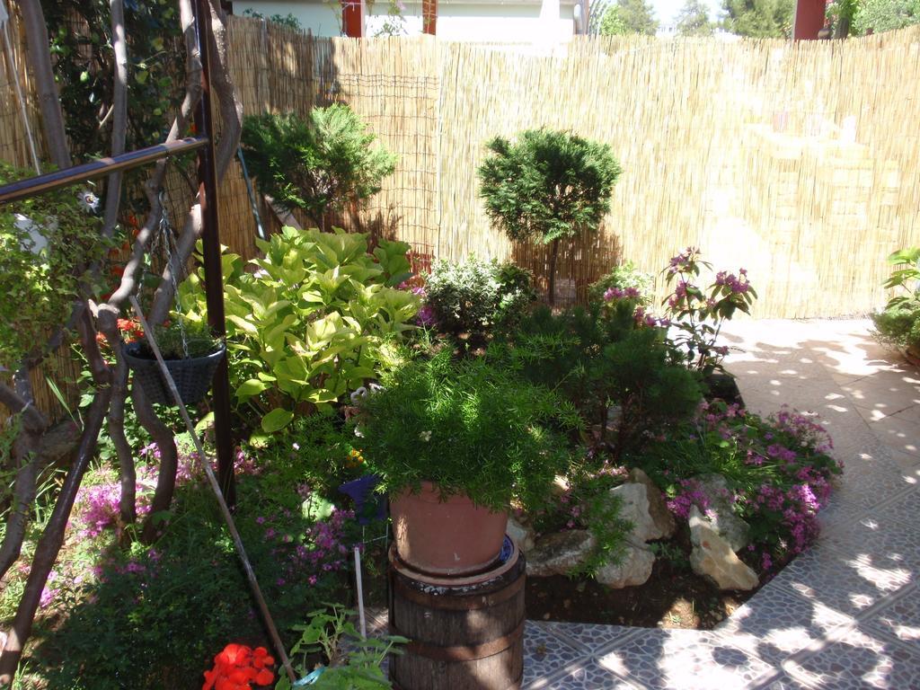 Apartma Vera Zadar